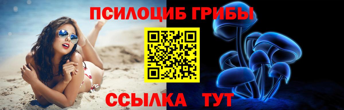 Лесосибирск  Псилоцибиновые грибы GOLDEN TEACHER  Галлюциногенные грибы Cubensis  Вход с VPN 